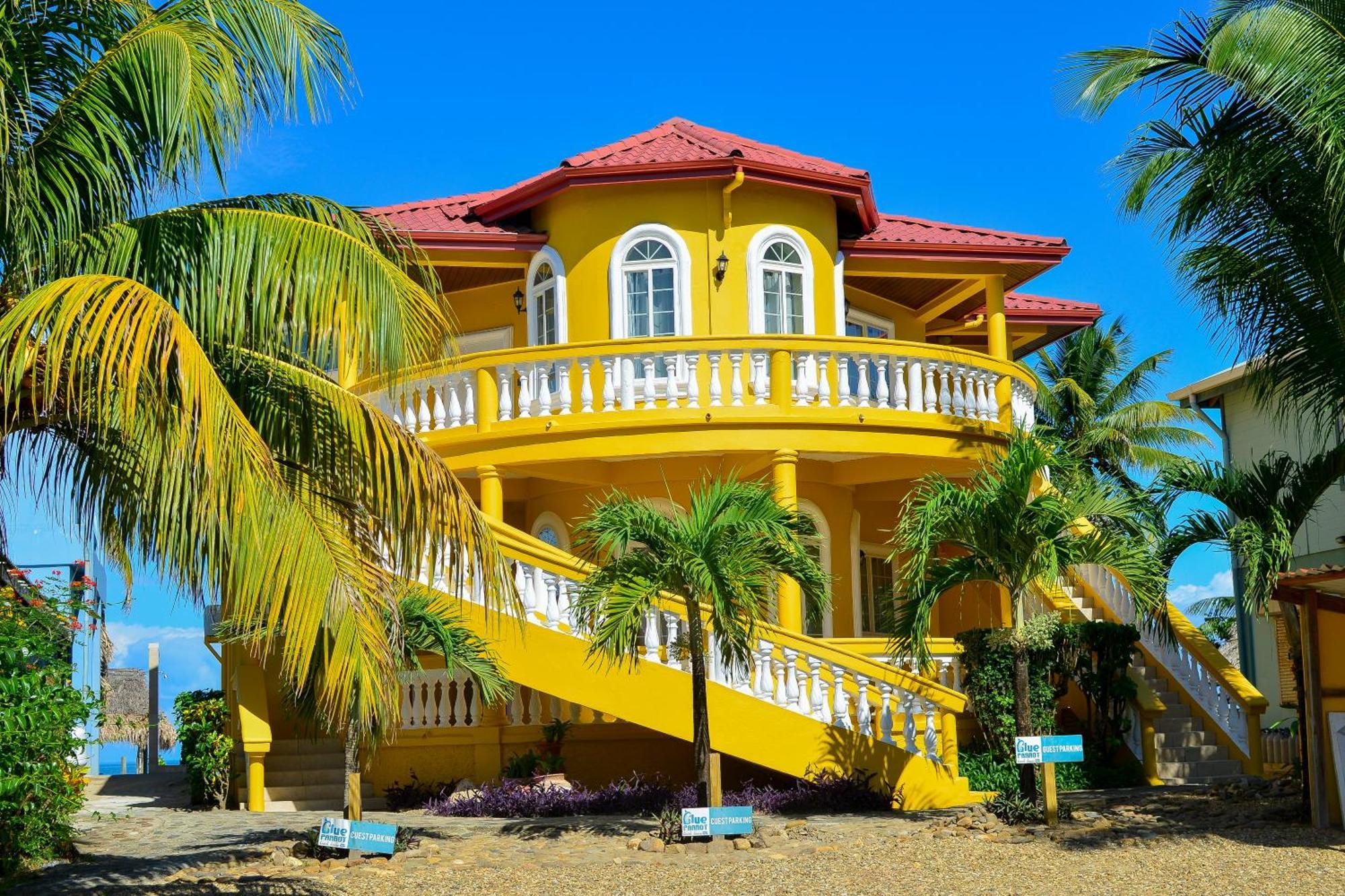Blue Parrot Beach House And Villas ホプキンズ エクステリア 写真
